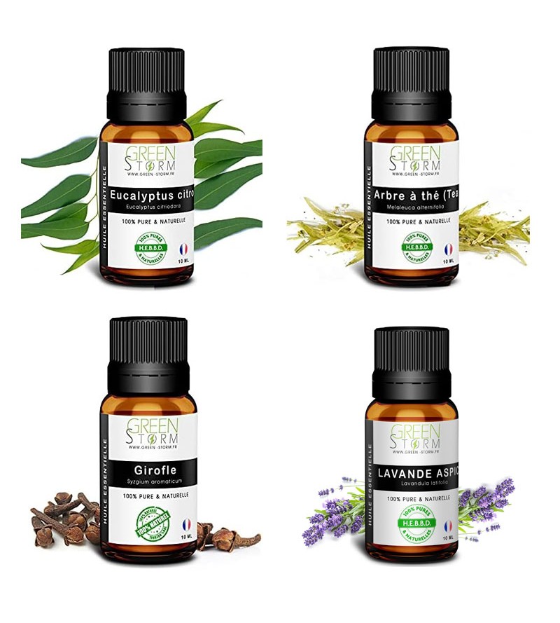 Lots Punaises de lit 4...